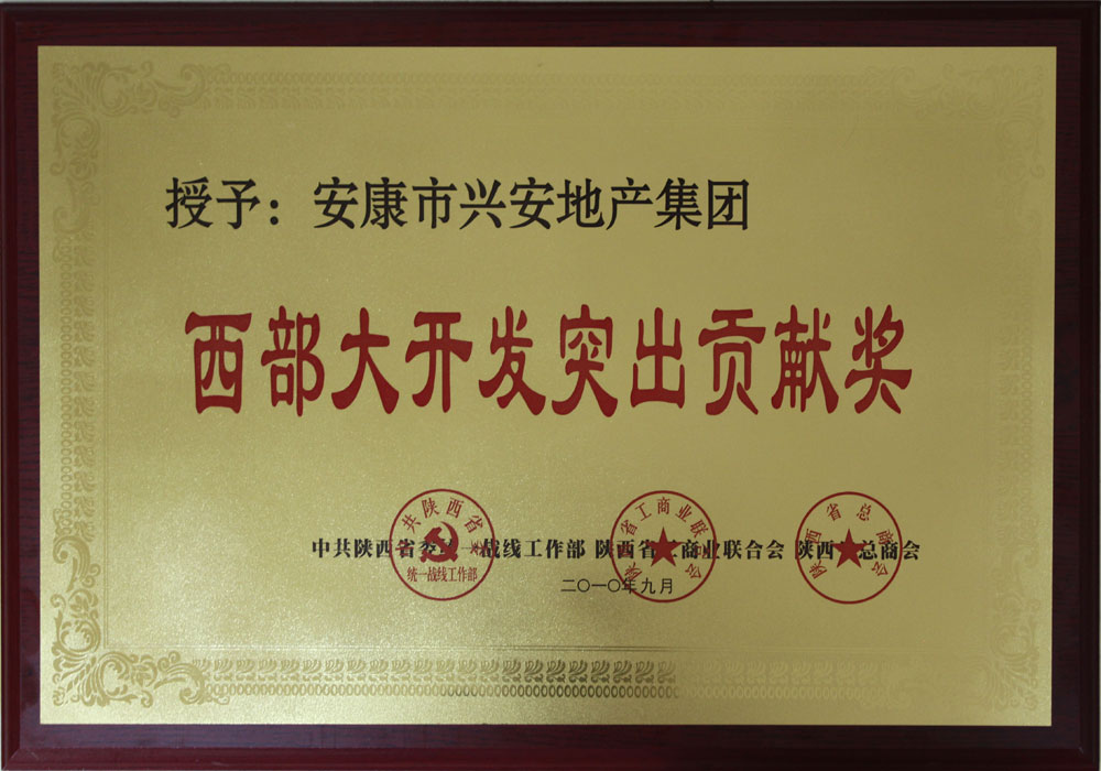 西部大開發(fā)突出貢獻(xiàn)獎(jiǎng)