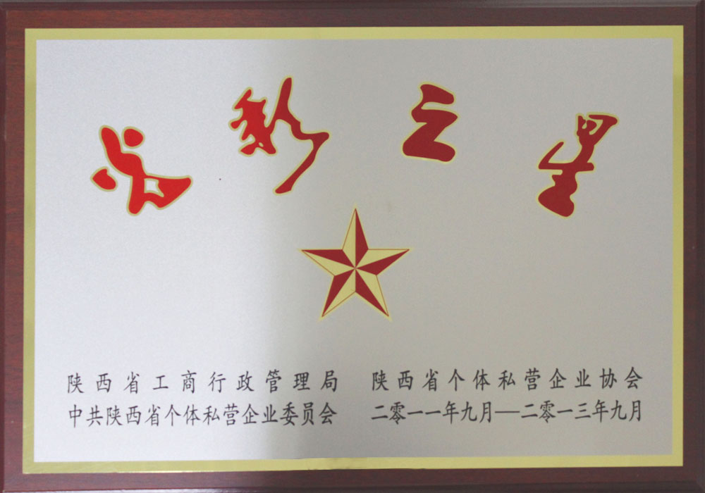 陜西省光彩之星